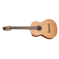 Godin Etude LEFT