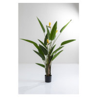 KARE Design Dekorativní rostlina Paradise Flowers 190cm