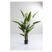 KARE Design Dekorativní rostlina Paradise Flowers 190cm