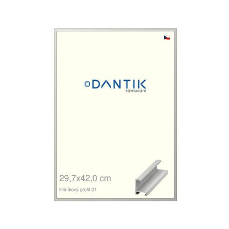 DANTIK rámeček 29,7 × 42, ALU profil 6001 Stříbrný matný plexi čiré