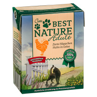 Best Nature Adult Cat 16×370 g – výhodné balení - kuřecí v želé