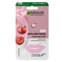 GARNIER Skin Naturals Lips Replump Mask Cherry And Panthenol 5 g