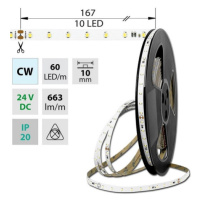 LED pásek McLED 24V studená bílá š=10mm IP20 6,5W/m 60LED/m SMD2835 ML-126.801.60.8