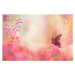 Fotografie Butterfly dreams, Eerik, 40x26.7 cm