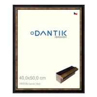 DANTIK rámeček 40 × 50, TRITON černý sklo čiré