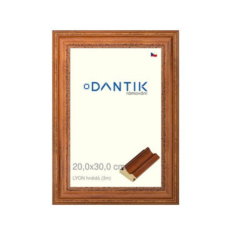 DANTIK rámeček 20 × 30, LYON hnědý sklo čiré