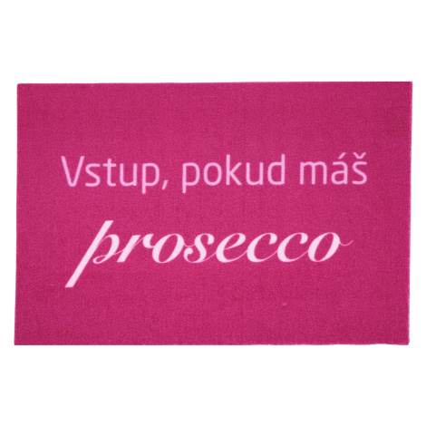 Mercury Flooring Rohožka Vstup pokud máš Prosecco 40x60 cm - 40x60 cm