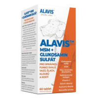 Alavis Msm Glukosamin Sulfát Pro Psy 60tbl