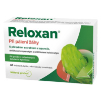 Reloxan Mint žvýkací tablety 48 ks