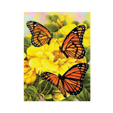 Malování podle čísel 22 × 30 cm - Motýlci na žlutých kytkách ROYAL & LANGNICKEL