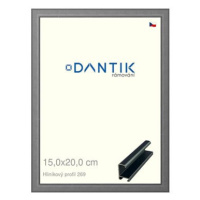 DANTIK rámeček 15 × 20, ALU profil 7269 Platina matný sklo čiré