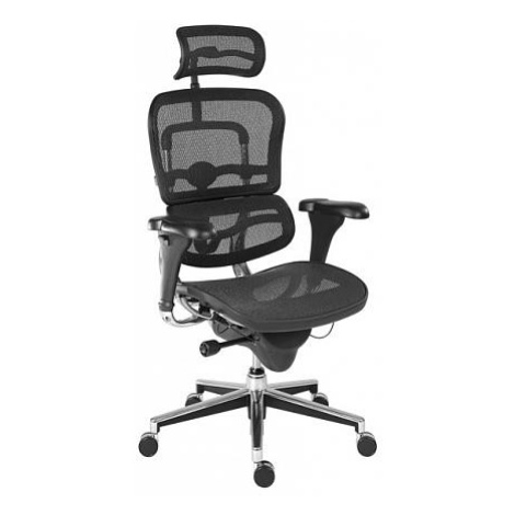 Kancelářská židle Ergohuman FOR LIVING