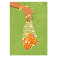 Ilustrace Fresh Oranges, Raissa Oltmanns, 30 × 40 cm