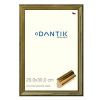 DANTIK rámeček 20 × 30, ANIVERSA piccola zlatý sklo čiré