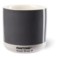 Pantone Latte Termohrnek - Cool Gray 9