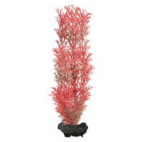 Dekorace Tetra Rostlina Foxtail Red M 23cm