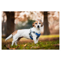 Vsepropejska Rigby prodyšné kšíry pro psa | 36 – 68 cm Barva: Modrá, Obvod hrudníku: 44 - 55 cm