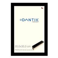 DANTIK rámeček 20 × 30, PASTELKA černý rovný sklo čiré