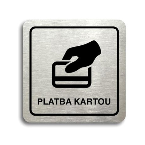 Accept Piktogram "platba kartou" (80 × 80 mm) (stříbrná tabulka - černý tisk)