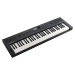 Roland GO:KEYS5-GT