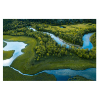 Fotografie Swamp, river and trees seen from above, Baac3nes, 40 × 26.7 cm