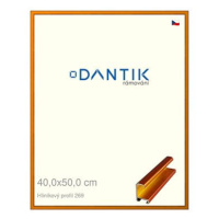 DANTIK rámeček 40 × 50, ALU profil 7269 Oranžový Citrin broušený sklo čiré