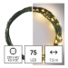 EMOS Vánoční LED řetěz Nanos zelený s časovačem 7,5 m teplá bílá