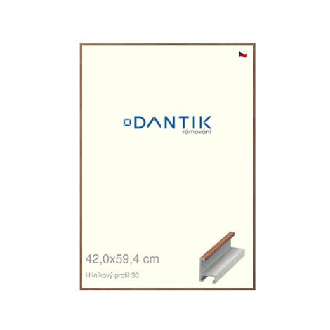 DANTIK rámeček 42 × 59,4, ALU profil 6030 Dýha ořech lak matný plexi čiré