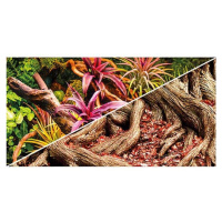 Hobby Pozadí oboustranné Jungle / Strangler Fig 60cm x 25m