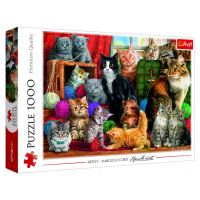 Puzzle Kočičí schůzka 1000 dílků