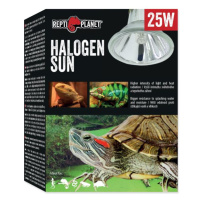 Žárovka Repti Planet Halogen Sun 25W