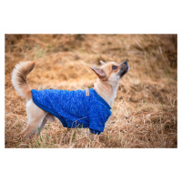 Vsepropejska Classic mikina pro psa Barva: Tmavě modrá, Délka zad (cm): 17, Obvod hrudníku: 20 -