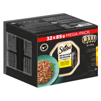 Multibalení Sheba variace mističky 64 x 85 g - Selection in Sauce