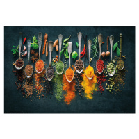 Plakát, Obraz - Spices, (91.5 x 61 cm)