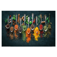 Plakát, Obraz - Spices, 91.5 × 61 cm