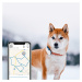 Tractive GPS DOG 4 – Tracker a monitor aktivity pro psy - Bílá