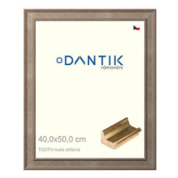 DANTIK rámeček 40 × 50, TOOTH malý stříbrný plexi čiré