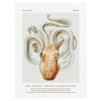 Obrazová reprodukce Deutsche Tiefsee Expedition Poster No.2 (Vintage Octopus) - Carl Chun, 30 × 