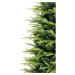 Vánoční stromek Smrk, 150 cm