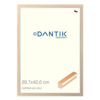 DANTIK rámeček 29,7 × 42, CARINA Bílý plexi čiré