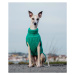 Ručně pletený svetr pro psy Paikka - světle zelený Velikost: 20
