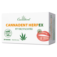 Cannaderm Cannadent HerpEX rty bez puchýřů 28 tobolek