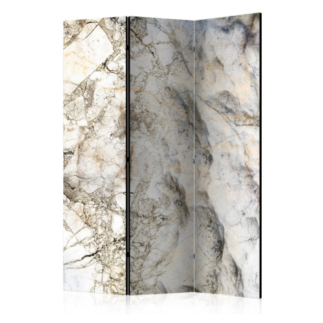 Paraván Marble Mystery Dekorhome 225x172 cm (5-dílný)