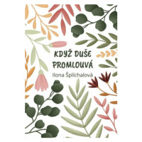 Když duše promlouvá - Šplíchalová Ilona