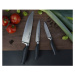 Sada 3 kuchyňských nožů IVO Premier 90073