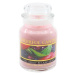 Cheerful Candle VERY BERRY BECKAH BOO 160 g