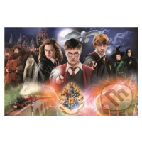 Tajemný Harry Potter - puzzle z kategorie 60 - 300 dílků