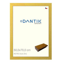 DANTIK rámeček 50 × 70, RETRO žlutý plexi čiré