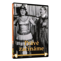 Právě začínáme - DVD