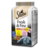 Sheba Fresh & Fine kapsičky mixovaný výběr ve šťávě 6 x 50 g